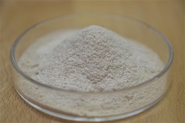 益生菌里的蛋白质是什么,有什么功能?