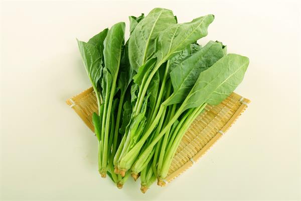 十大高蛋白质蔬菜