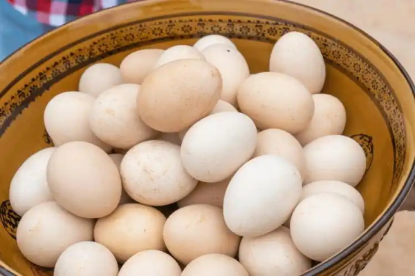 营养升级还是智商税？“士鸡蛋”“富硒蛋”真的比普通鸡蛋更好吗？