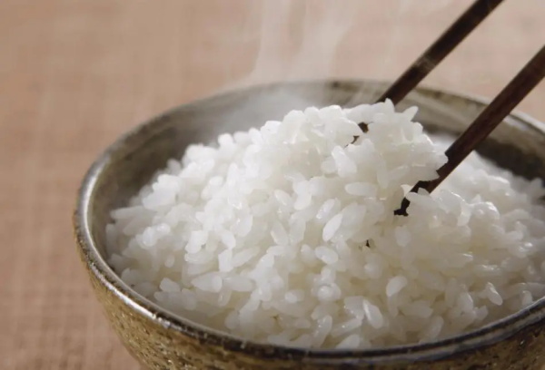 米饭的“美味密码”：藏在基因、淀粉与锅气之间的科学秘密