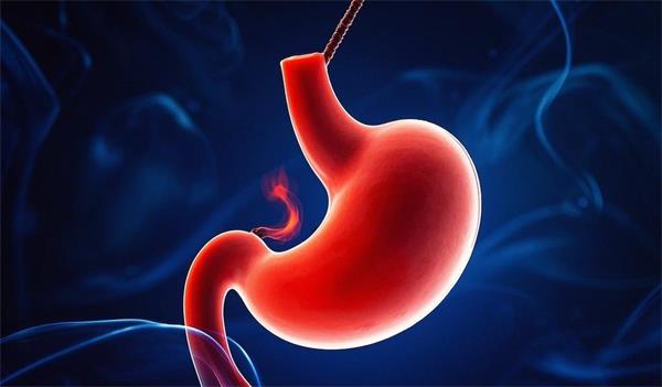 胃酸那么“猛”，为何挡不住一口脏水？