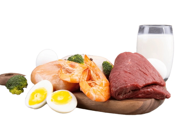 蛋白质吃越多，肌肉长越快？别让“增肌迷思”误导训练逻辑