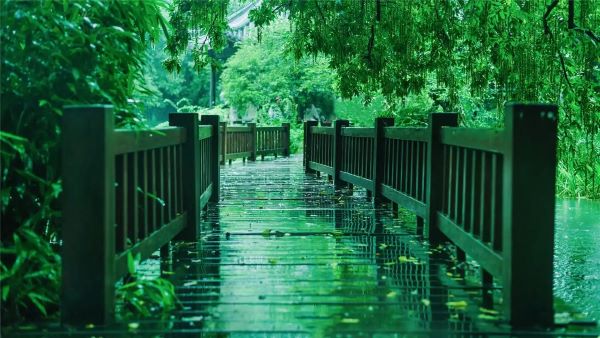雨后空气中弥漫的泥土香，科学解释来了！