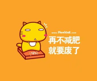 减肥路上那些你以为对的“好习惯”,其实是陷阱?常见误区一次看清