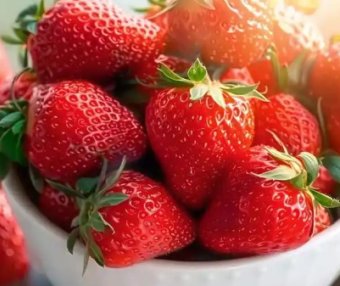 “大草莓=膨大剂”？揭秘多倍体草莓的真相