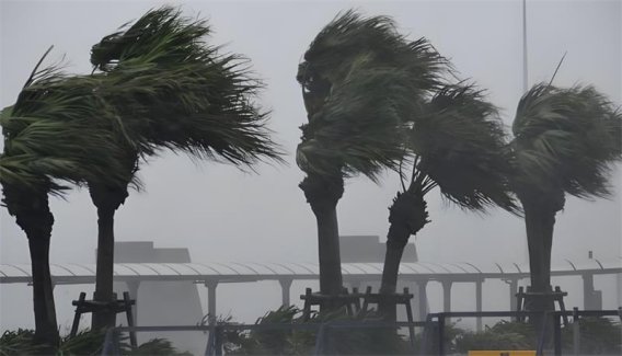 台风如何形成?蝴蝶效应真的能“造台风”吗?