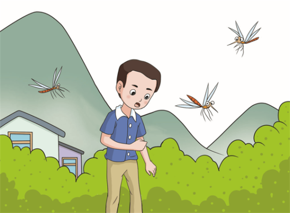 感染一次蚊媒病就能终身免疫吗?——权威FAQ解读病毒、寄生虫与疫苗的免疫真相