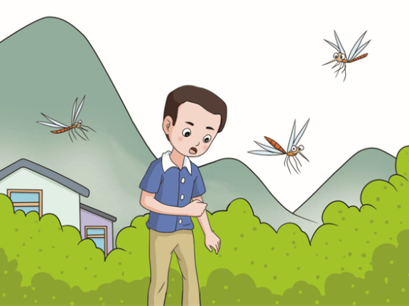 感染一次蚊媒病就能终身免疫吗?——权威FAQ解读病毒、寄生虫与疫苗的免疫真相